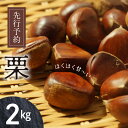 【ふるさと納税】先行予約 栗 2kg 国産 甘い 生栗 秋 旬 和 旬の栗 秋の味覚 栗ご飯 料理 お菓子作り 和菓子 栗きんとん おやつ スイーツ マロン 果物 食品 冷蔵 冷凍 保存 宮崎県 延岡市 お取り寄せ 送料無料