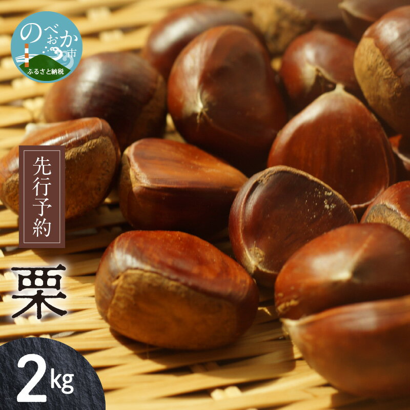 ふるさと納税 029茨城県産高級栗「飯沼栗」2kg 茨城県茨城町 - 通販