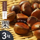 【ふるさと納税】先行予約 訳あり 栗 3kg 小サイズ 国産 甘い 生栗 秋 旬 和 旬の栗 秋の味覚 栗ご飯 料理 お菓子作り 和菓子 栗きんとん おやつ スイーツ マロン 果物 食品 冷蔵 冷凍 保存 宮崎県 延岡市 お取り寄せ 送料無料