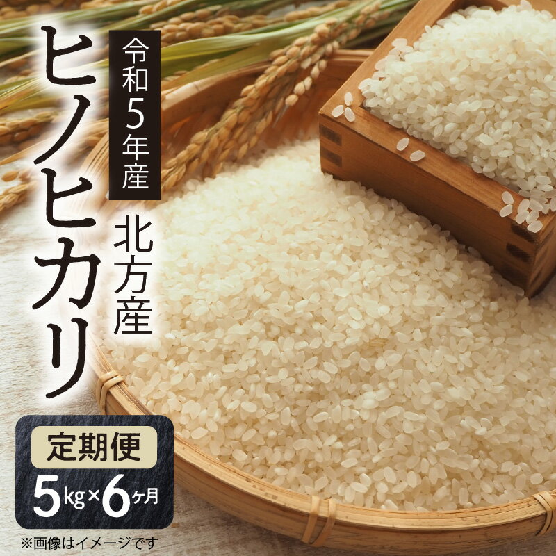 定期便 6ヶ月 新米 令和5年産米 お米 白米 ヒノヒカリ 5kg 精米 甘み 冷めてもおいしい おにぎり ご飯 弁当 お取り寄せ お取り寄せグルメ 中アミロース米 産地直送 宮崎県 延岡市 北方町 送料無料