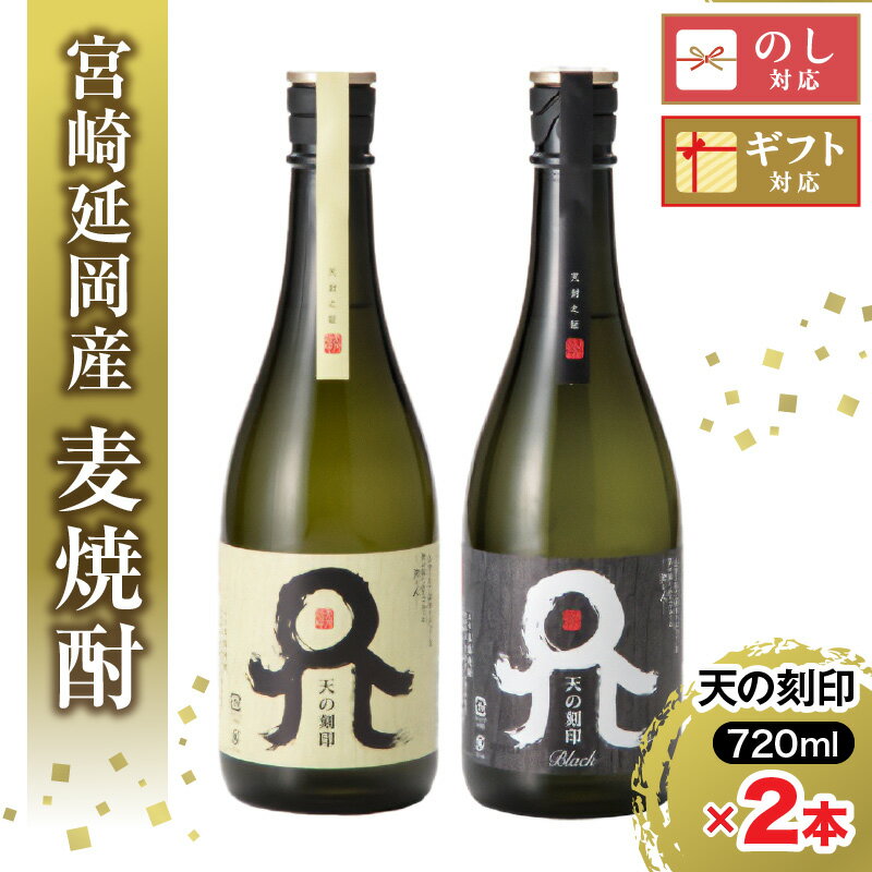 佐藤焼酎 麦焼酎 天の刻印セット 720ml×2本 贈り物 父の日 誕生日 お祝い 贈答用 宮崎県延岡市 送料無料