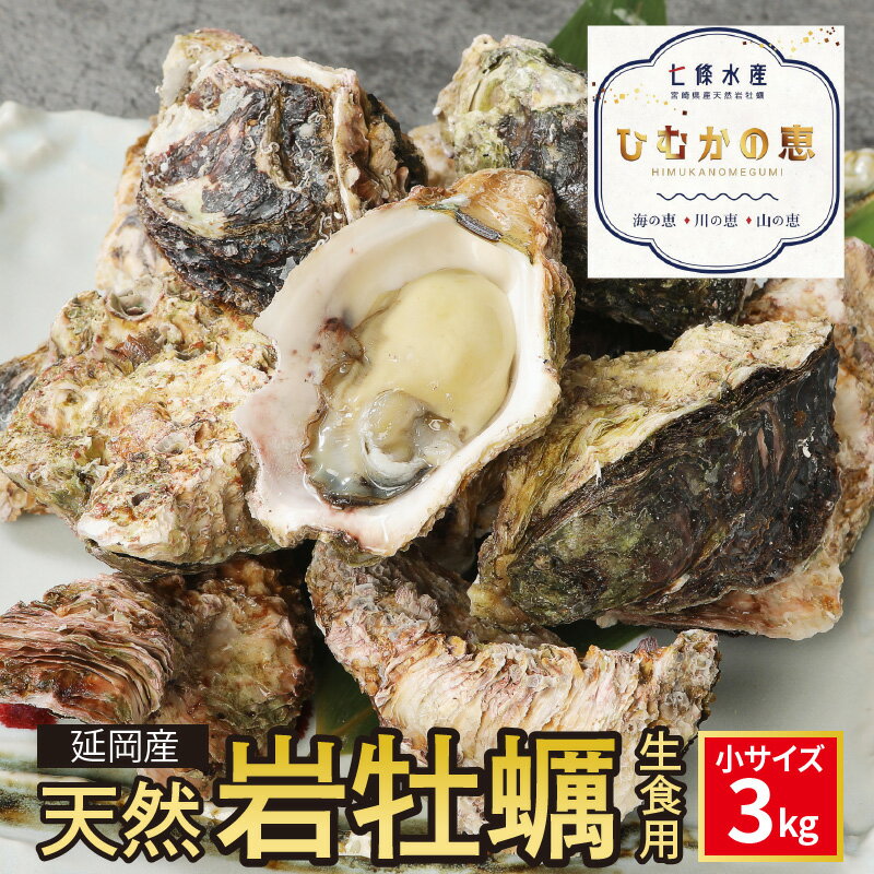 [先行予約]2024年4月より発送開始 期間限定 天然 岩牡蠣 生食用 小サイズ 3kg 生牡蠣 牡蠣 殻付き 海鮮 国産 産地直送 ジューシー 極濃厚 クリーミー とろとろ食感 栄養豊富 延岡産 お取り寄せ お取り寄せグルメ 送料無料 食品 食べ物 冷蔵