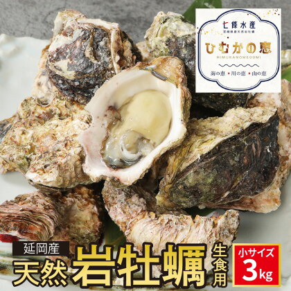 【先行予約】2024年4月より発送開始 期間限定 天然 岩牡蠣 生食用 小サイズ 3kg 生牡蠣 牡蠣 殻付き 海鮮 国産 産地直送 ジューシー 極濃厚 クリーミー とろとろ食感 栄養豊富 延岡産 お取り寄せ お取り寄せグルメ 送料無料 食品 食べ物 冷蔵