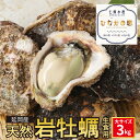 【ふるさと納税】延岡産天然岩牡蠣（生食用）3kg（大）