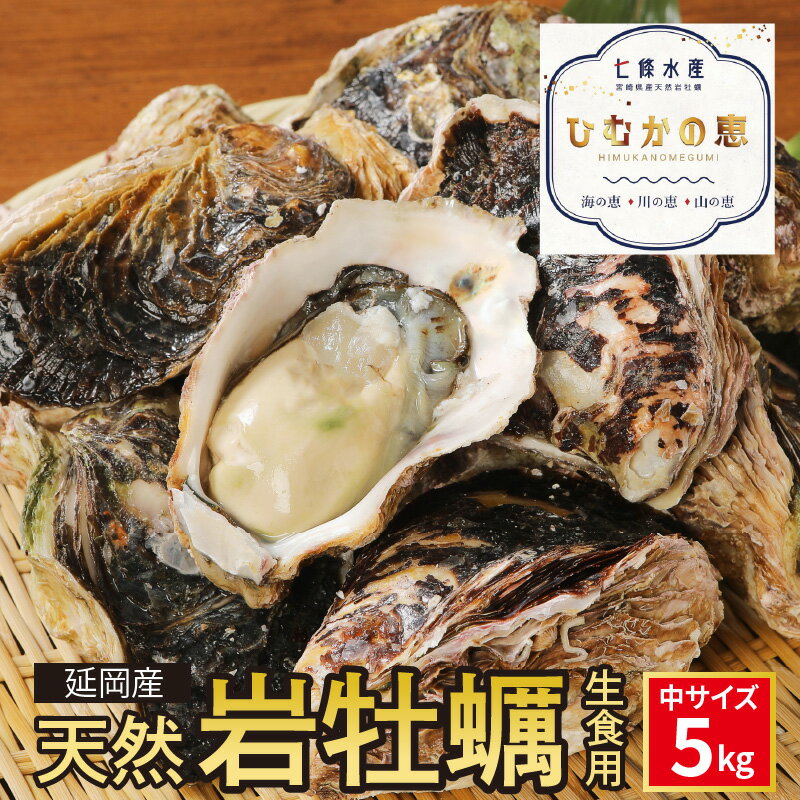 [先行予約]2024年4月1日から発送開始 延岡産天然岩牡蠣 生食用 5kg 中 冷蔵 生牡蠣 岩がき 殻付き 国産 産地直送 牡蠣 ひむかの恵