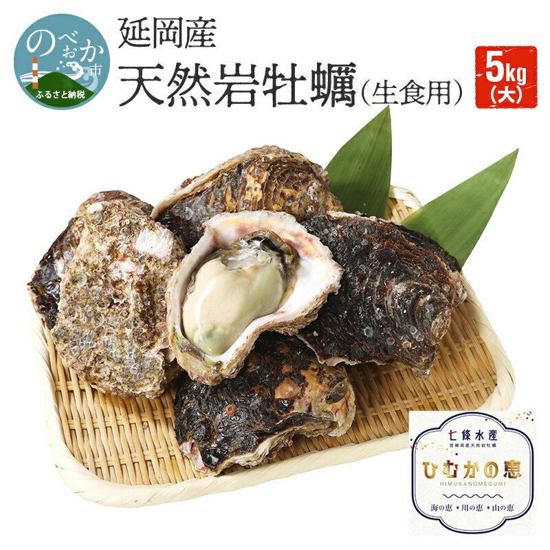 【岩ガキ】ふるさと納税の返礼品で手に入る美味しい岩牡蠣のおすすめは？