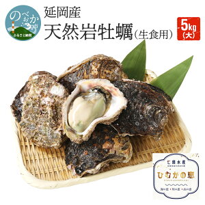 【ふるさと納税】延岡産天然岩牡蠣（生食用）5kg（大）（2023年4月20日から発送開始）　冷蔵 生牡蠣 岩がき 殻付き 国産 産地直送 牡蠣 ひむかの恵