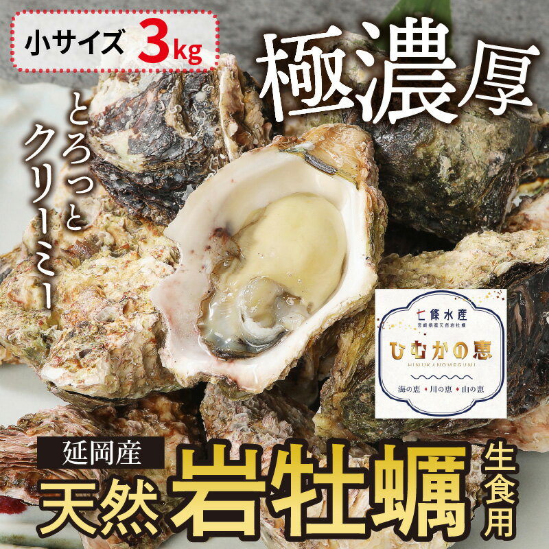 【ふるさと納税】期間限定 天然 岩牡蠣 生食用 小サイズ 3kg 生牡蠣 牡蠣 殻付き 海鮮 国産 産地直送 ジューシー 極濃厚 クリーミー とろとろ食感 栄養豊富 栄養価 品質管理 海のミルク ひむかの恵 延岡産 お取り寄せ お取り寄せグルメ 送料無料 食品 食べ物 冷蔵