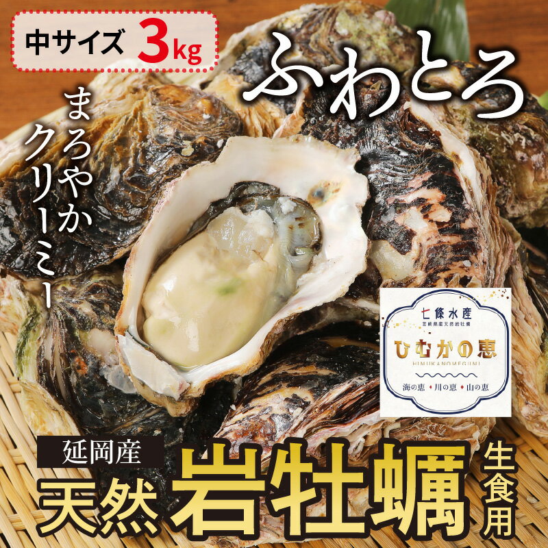 【ふるさと納税】【先行予約】2024年4月1日より発送開始 まろやか プリプリ食感 冷蔵便 延岡産 天然 岩牡蠣 中 サイズ 3kg 生食用 牡蠣 国産 七條水産 ひむかの恵 生牡蠣 殻付き クリーミー ミルキー ジューシー 魚介 殺菌処理 産地直送 お取り寄せグルメ 送料無料