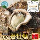 【ふるさと納税】延岡産天然岩牡蠣（生食用）3kg（大）