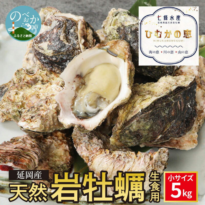 【ふるさと納税】延岡産天然岩牡蠣（生食用）5kg（小）（2023年4月1日から発送開始）　冷蔵 生牡蠣 岩がき 殻付き 国産 産地直送 牡蠣 ひむかの恵