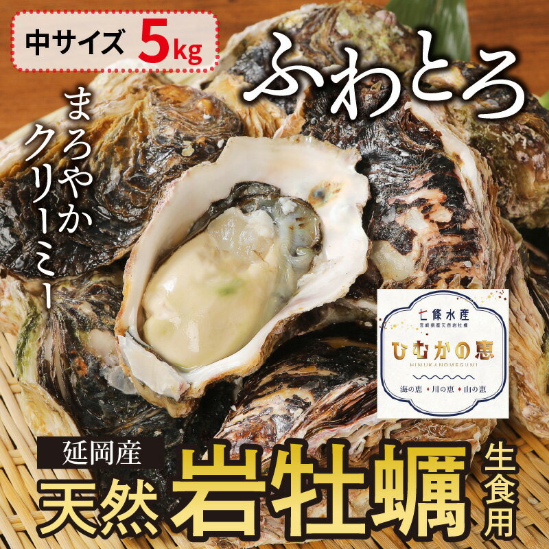 【ふるさと納税】【先行予約】2024年4月1日から発送開始 延岡産天然岩牡蠣 生食用 5kg 中 冷蔵 生牡蠣 岩がき 殻付き 国産 産地直送 牡蠣 ひむかの恵