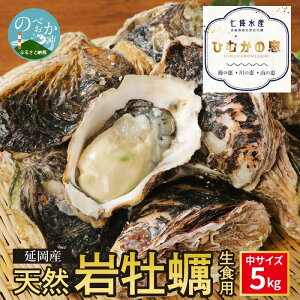 【ふるさと納税】延岡産天然岩牡蠣（生食用）5kg（中）（2023年4月1日から発送開始）　冷蔵 生牡蠣 岩がき 殻付き 国産 産地直送 牡蠣 ひむかの恵