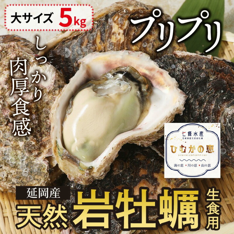 【ふるさと納税】【先行予約】2024年4月1日から発送開始 延岡産天然岩牡蠣 生食用 5kg 大 冷蔵 生牡蠣 岩がき 殻付き 国産 産地直送 牡蠣 ひむかの恵