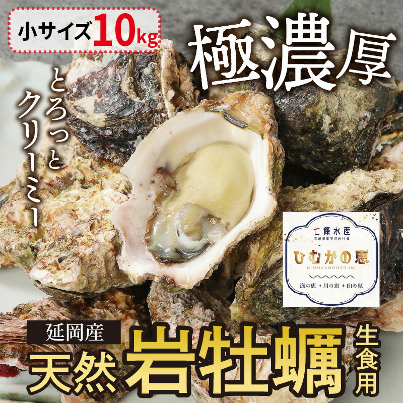 【ふるさと納税】【先行予約】延岡産天然岩牡蠣（生食用）10kg（小）（2024年4月1日から発送開始）　冷蔵 生牡蠣 岩がき 殻付き 国産 産地直送 牡蠣 ひむかの恵