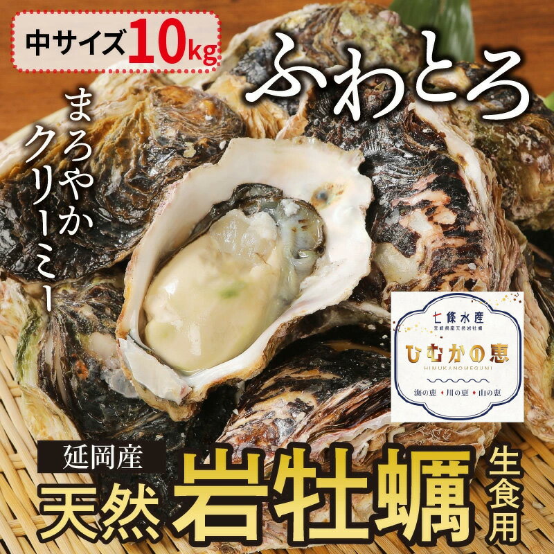 【ふるさと納税】【先行予約】2024年4月1日から発送開始 延岡産天然岩牡蠣（生食用）10kg（中）冷蔵 生牡蠣 岩がき 殻付き 国産 産地直送 牡蠣 ひむかの恵