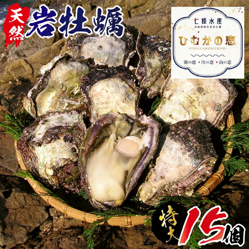 【ふるさと納税】延岡産天然岩牡蠣（生食用）特大サイズ15個（2022年4月20日から発送開始）　冷蔵 生牡蠣 岩がき 殻付き 国産 産地直送 牡蠣 ひむかの恵