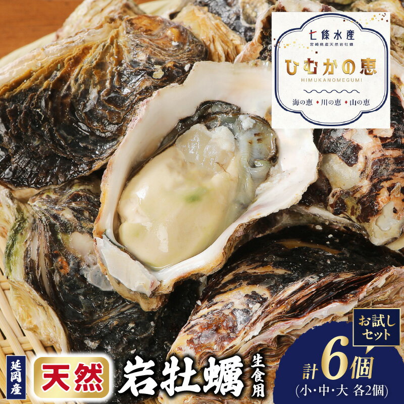 天然岩牡蠣 お試しセット (大・中・小サイズ) 各2個
