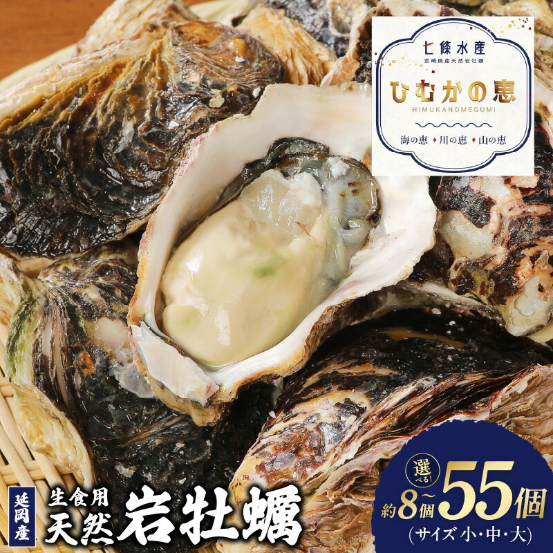 [先行予約]2024年4月より発送開始 期間限定 天然 岩牡蠣 生食用 小 〜 大 サイズ 3kg 〜 10kg 選べる 生牡蠣 牡蠣 殻付き 海鮮 国産 産地直送 ジューシー 極濃厚 クリーミー とろとろ食感 栄養豊富 延岡産 お取り寄せ 送料無料 食品 食べ物 冷蔵