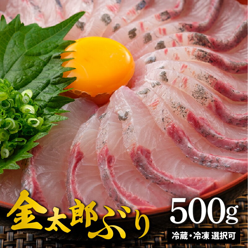 【ふるさと納税】宮崎産 新海屋 鰤屋金太郎 金太郎ぶり 500g 鰤 刺身 冷蔵 ・ 冷凍 選択可