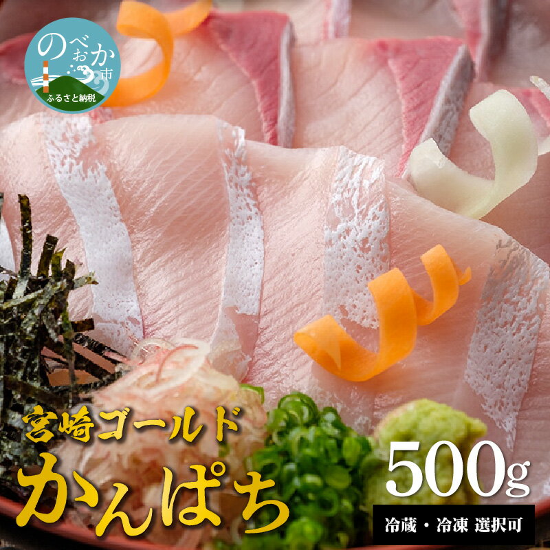 【ふるさと納税】宮崎産 新海屋 鰤屋金太郎 宮崎ゴールド かんぱち 500g 刺身 冷蔵 ・ 冷凍 選択可