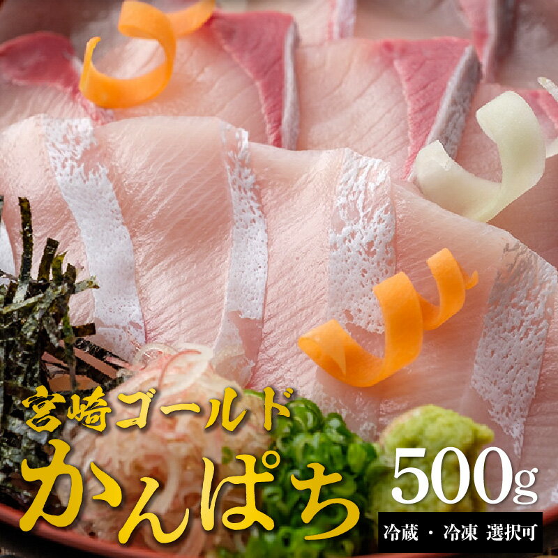 【ふるさと納税】宮崎産 新海屋 鰤屋金太郎 宮崎ゴールド かんぱち 500g 刺身 冷蔵 ・ 冷凍 選択可