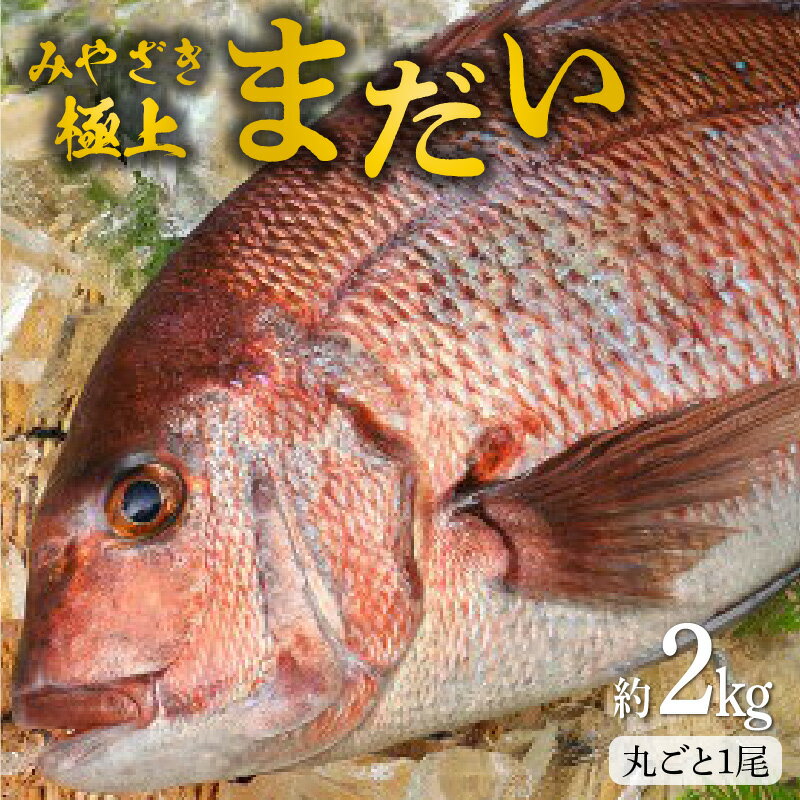 【ふるさと納税】宮崎産 新海屋 鰤屋金太郎 みやざき 極上 