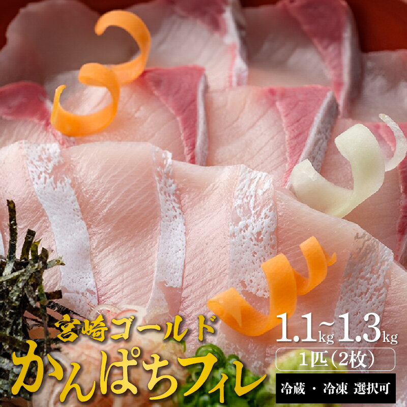 宮崎産 新海屋 鰤屋金太郎 みやざきゴールドカンパチ フィレ 1.1kg〜1.3kg1匹(2枚) 冷蔵 ・ 冷凍 選択可