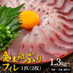 【ふるさと納税】宮崎産 新海屋 鰤屋金太郎 金太郎 ぶり フィレ 1.3kg〜1匹 2枚 冷蔵 ・ 冷凍 選択可