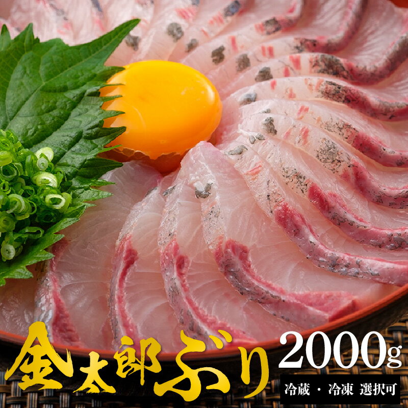 【ふるさと納税】宮崎産 新海屋 鰤屋金太郎 金太郎ぶり 2000g 鰤 刺身 冷蔵 ・ 冷凍 選択可