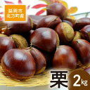 【ふるさと納税】先行予約 北方町産 栗 2kg 2025年8月下旬より発送開始 素材の味 大きい 秋の味覚 栗ご飯 おこわ 焼き栗 栗きんとん 渋皮煮 スイーツ...