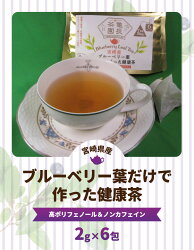 【ふるさと納税】健康茶 ブルーベリー 葉だけで作った お茶 2g×6包 ティーバッグ ポリフェノール ノンカフェイン 国産 宮崎県産 九州 延岡市 爽やかな酸味 茶 飲料 お取り寄せ お土産 お手軽 便利 送料無料･･･ 画像1