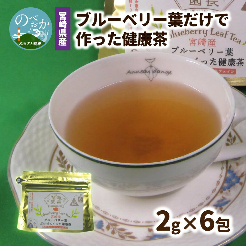 【ふるさと納税】宮崎県産 ブルーベリー葉 だけで作った 健康茶 ポリフェノール