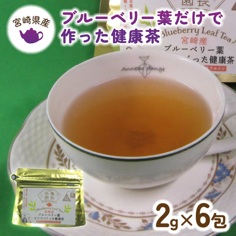 47位! 口コミ数「3件」評価「3.33」健康茶 ブルーベリー 葉だけで作った お茶 2g×6包 ティーバッグ ポリフェノール ノンカフェイン 国産 宮崎県産 九州 延岡市 爽やかな･･･ 