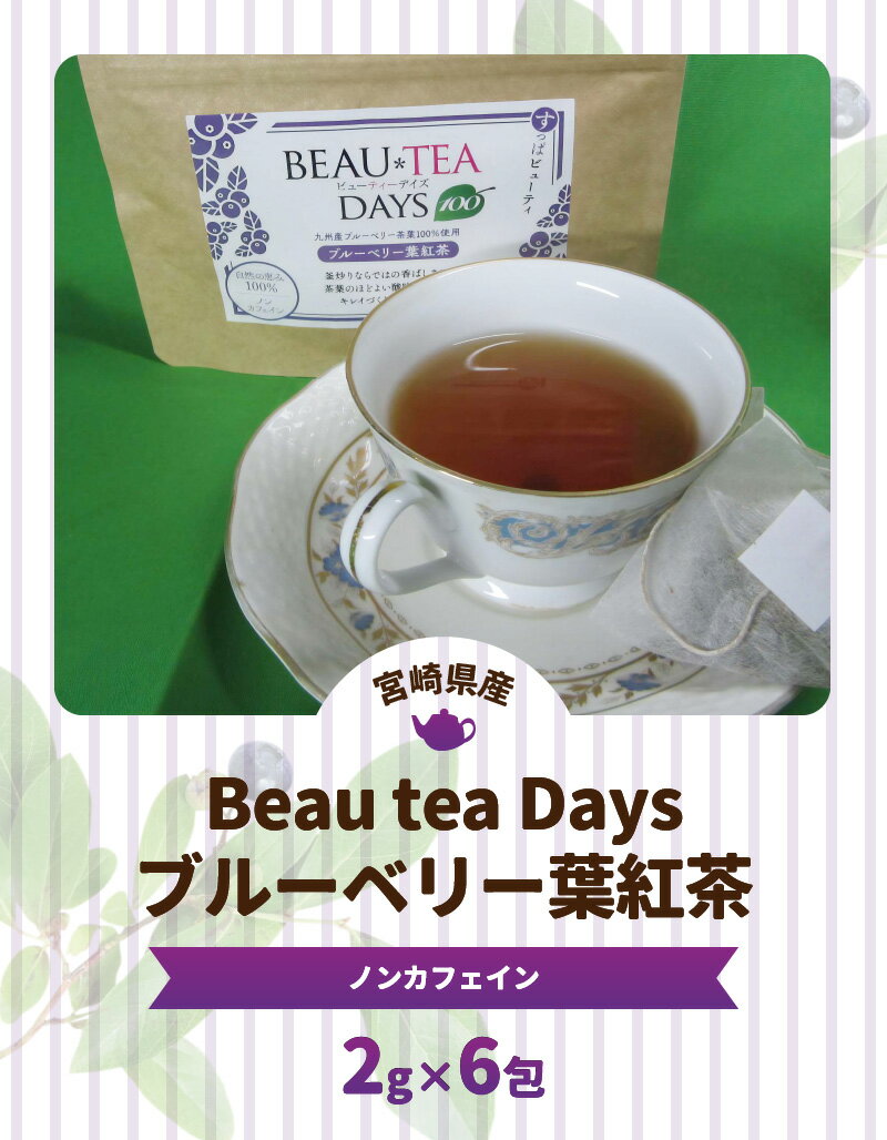 【ふるさと納税】紅茶 ブルーベリー 2g × 6包 ノンカフェイン BeauteaDays 爽やか 健康茶 ブルーベリー葉 植物茶 酸味 ポリフェノール 飲料 新健康茶 釜炒り スローライフトゥ ⻲⻑茶園 お取り寄せ 国産 九州 宮崎県 延岡市 常温 送料無料