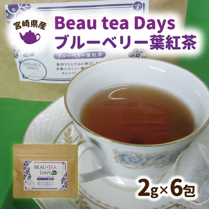 55位! 口コミ数「3件」評価「2.67」紅茶 ブルーベリー 2g × 6包 ノンカフェイン BeauteaDays 爽やか 健康茶 ブルーベリー葉 植物茶 酸味 ポリフェノール 飲･･･ 