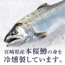 宮崎県延岡市の画像2