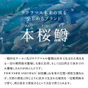 宮崎県延岡市の画像3