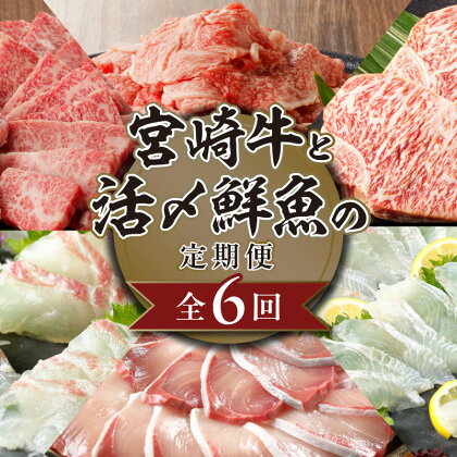 宮崎牛と活〆鮮魚の豪華 6回 定期便 宮崎牛 A5等級 ブリ 真鯛 ヒラメ 活〆 鮮魚 魚介 牛肉 サーロインステーキ サーロイン ステーキ 小間切 焼肉 お刺身 半身 ロイン 国産 肉のマル誠 請関水産 九州 宮崎県 延岡市 お取り寄せ お取り寄せグルメ 送料無料