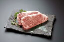 【ふるさと納税】 5等級「宮崎牛」ステーキ3枚セット