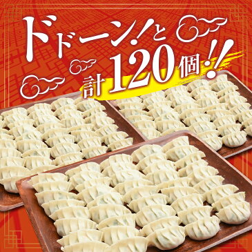【ふるさと納税】<戸村本店特製味付>自家製餃子(10個×12パック)計120個