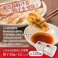 【ふるさと納税】大人気!!<戸村本店特製味付け>餃子10個×12パック(計120個)