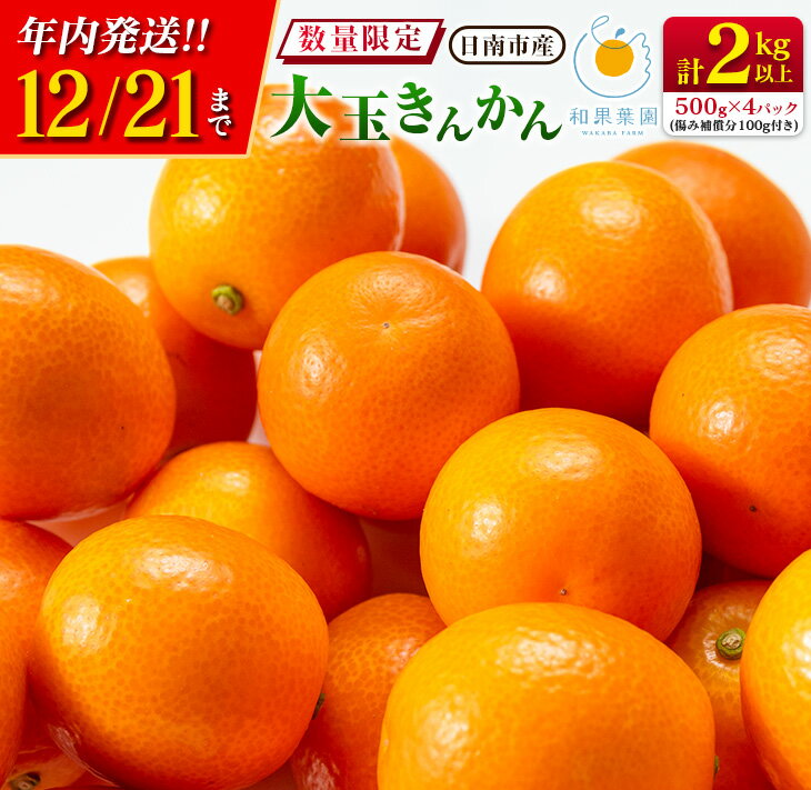 【ふるさと納税】≪数量限定≫大玉きんかん(計2kg以上)傷み補償分100g付き　フルーツ　果物　柑橘　金柑　国産のサムネイル