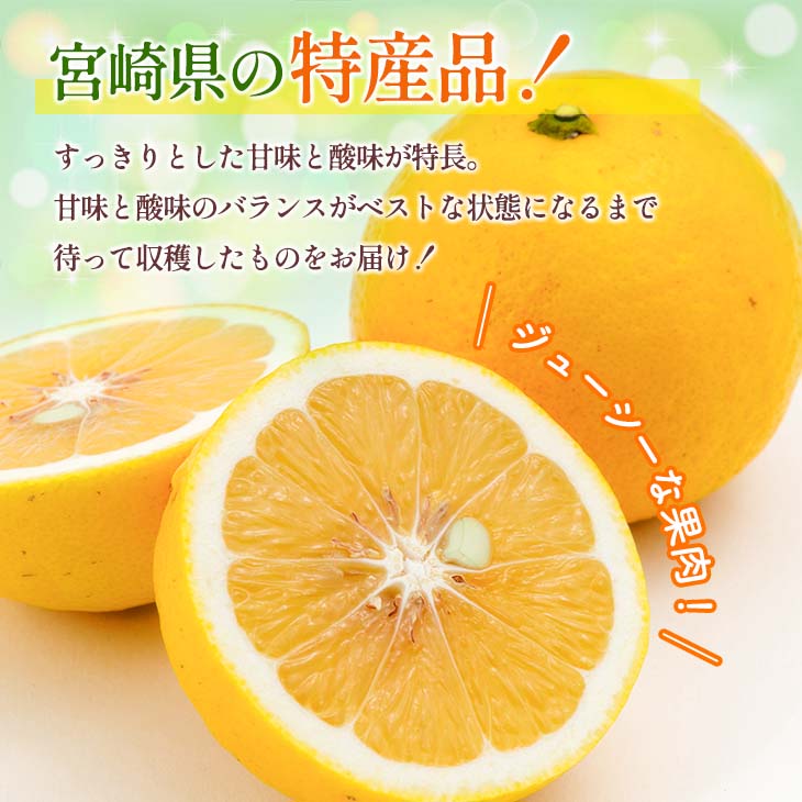 宮崎県日南市の画像2