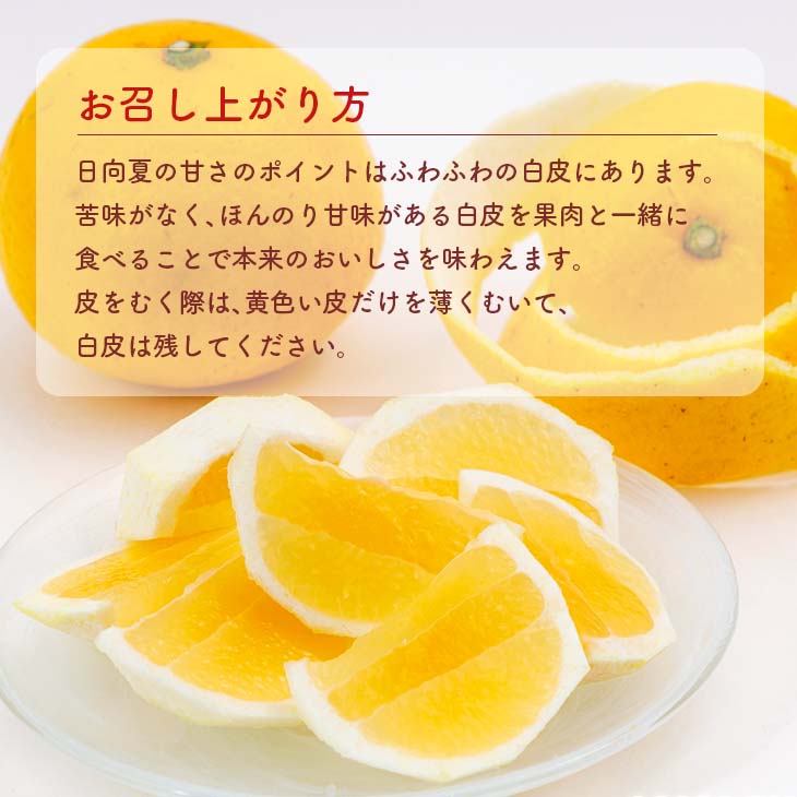 宮崎県日南市の画像3