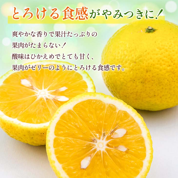 宮崎県日南市の画像2