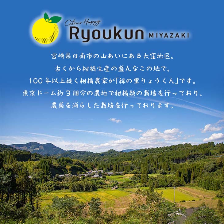 宮崎県日南市の画像3
