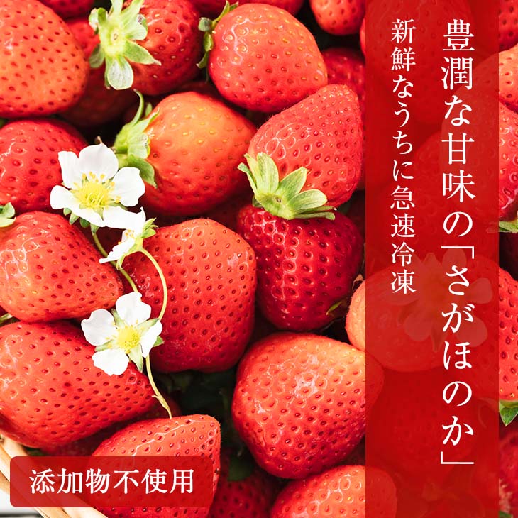 宮崎県日南市の画像2