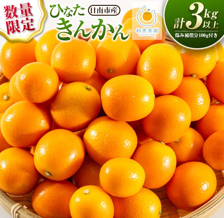 【ふるさと納税】数量限定 ひなたきんかん 計3kg以上 傷み補償分100g付き フルーツ 果物 柑橘 金柑 みかん オレンジ 人気 おすすめ おすそ分け お土産 プレゼント お取り寄せ グルメ 国産 食品 デザート スイーツ おやつ ブランド 特産品 産地直送 宮崎県 日南市 送料無料のサムネイル