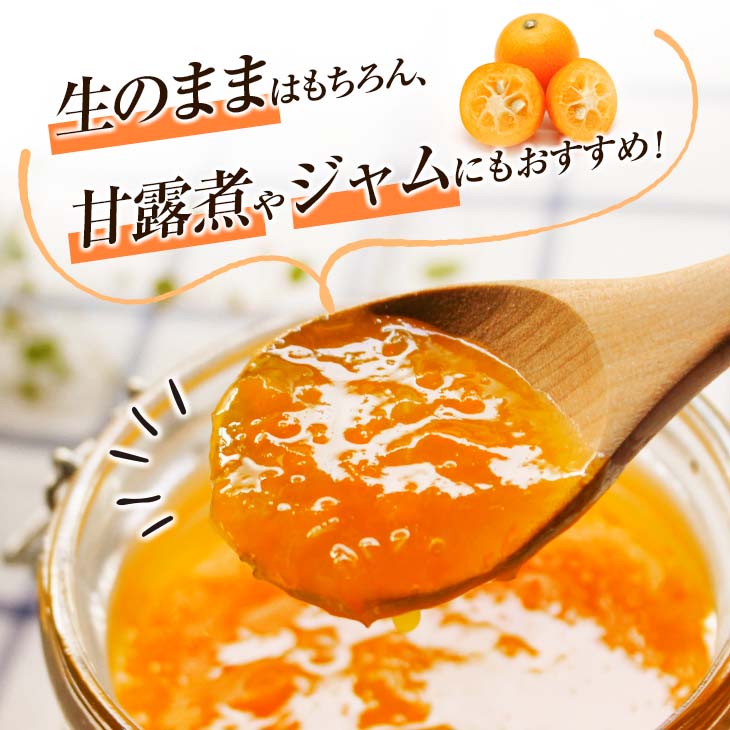 宮崎県日南市の画像2